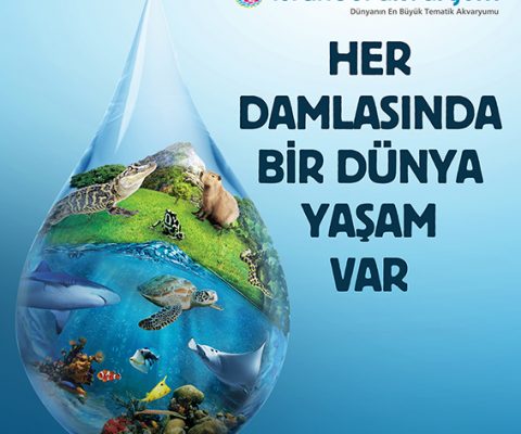 istanbul akvaryum reklam ajansı