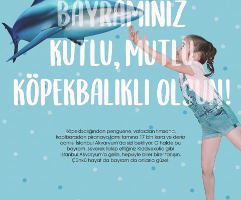 istanbul akvaryum reklam ajansı